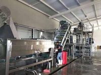 China fabrieksvervaardiging verse fruit concentraat sap productielijn