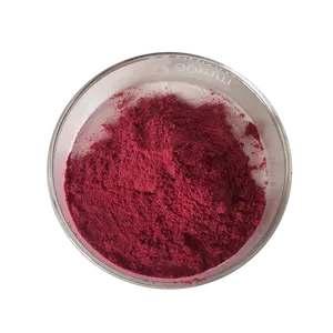 Vendita calda per uso alimentare pigmento commestibile di alta qualità cocciniglia rossa naturale carminio in polvere