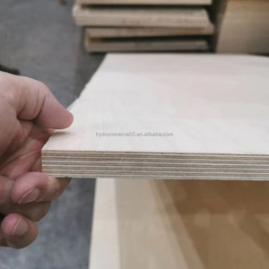 Contrachapado de <span class=keywords><strong>Abedul</strong></span> Marino de 4-40 mm, Grado Mueble, Importado, Multicapa, Impermeable, para Armarios y Gabinetes - Product Image 6