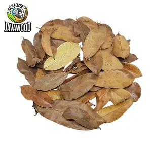 Bio Active Dried Mahogany, Bamboo, Jackfruit, Mango Leaves for Reptile Cage or House at Home from Central Java Indonesia