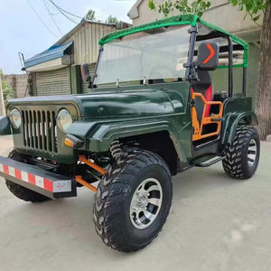 Buggy de plage amphibie professionnel avec sièges personnalisés, buggy électrique pour adultes, mini jeep Willys 250cc - Product Image 1