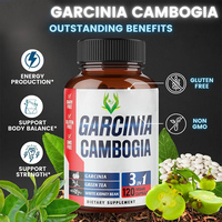 OEM ODM Capsules de Garcinia Cambogia pour adultes, 100% naturelles, complément à base d'extrait de thé vert et de haricot blanc, stimulant énergétique, brûleur de graisse