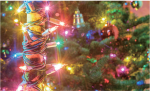 Bán buôn loạt ngoài trời trang trí ngoài trời giáng sinh ánh sáng dẫn chuỗi - Product Image 6