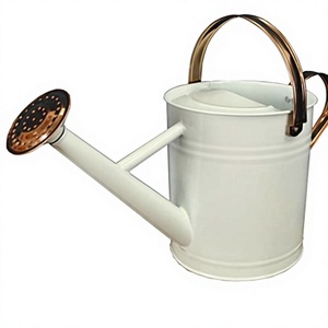 Regadera galvanizada con rociador de rosca, regadera de acero inoxidable para plantas de jardín, herramienta de jardín metálica a precios bajos - Product Image 1