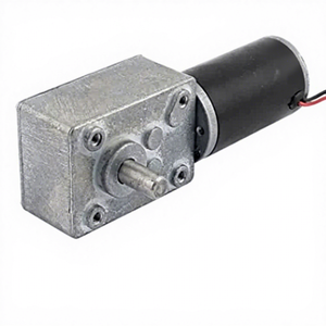 3650 <span class=keywords><strong>DC</strong></span> 브러시 웜 기어 속도 마이크로 모터 저속 고토크 영구 자석 구조 - Product Image 6