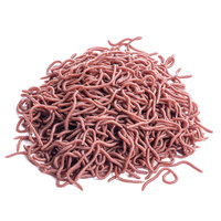 50 pièces/sac 8cm réaliste en plastique souple leurre de pêche Simulation vers rouges leurres de pêche artificiels
