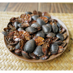 Groundworm Tu Bie Chong Sol Beeltle Woodlouse Séché Haute Qualité Vente en gros Prix bas Export Usine Directsale Multi-usages - Product Image 1