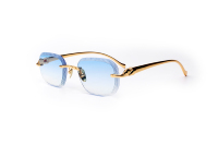 Lunettes de Luxe Haut de Gamme Personnalisables : Création sur Mesure avec Motifs Animaux pour Montures
