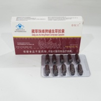 Capsules de Cordyceps Militaris Naturel - Améliore l'Immunité, 24g par Flacon, Convient aux Adultes