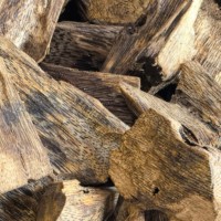 Eco001B Agarwood/Oud Grandes Copeaux 1A 5-6Y Parfum Boisé Épicé Herbacé Floral Menthe Poivrée Miel Soluble dans l'Eau Purificateur d'Air Pur