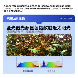YEE Factory Groothandel <span class=keywords><strong>Aquarium</strong></span> LED Verlichting Volledig Spectrum Visbakverlichting met Temperatuurweergave voor Plantengroei - Product Image 4