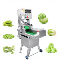 SUS304 Groentesnijder Groene Bonen Bladgroente Verwerker Groentepuree Machine Sla Snijmachine Vers Varkensvlees Snijmachine