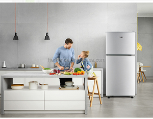 148L <b>Refrigerator</b> 220V50HZ Double Doors Small Size No Frost Freezer Sliver Lower Watt Energy for Department Use Frequency Conver - Product Image 5