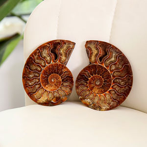 haute qualité, pierres minérales naturelles de guérison, quartz clair, forme libre, cristal irrégulier - Product Image 4