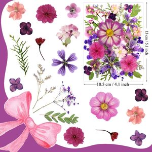 Fleurs séchées naturelles violettes, lot de 35 pièces pour la fabrication de bougies, la décoration de savons, les loisirs créatifs, le scrapbooking et la création de cartes - Product Image 5