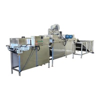 Ligne de production d'œufs liquides stable / Machine de pasteurisation d'œufs liquides / Machine de remplissage d'œufs liquides