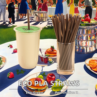 Pailles à boire droites jetables Yuanyi PLA biodégradables, écologiques, compostables, recyclables, qualité alimentaire, sans BPA, 200 mm