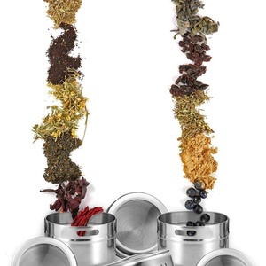 Ensemble de pots à épices magnétiques en acier inoxydable avec couvercles transparents et forte adsorption, idéal pour le stockage sur la surface du réfrigérateur - Product Image 5
