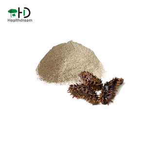 Nature <span class=keywords><strong>sauvage</strong></span> Extrait De <span class=keywords><strong>Concombre</strong></span> De Mer en poudre, <span class=keywords><strong>Concombre</strong></span> de Mer P.E. - Product Image 2