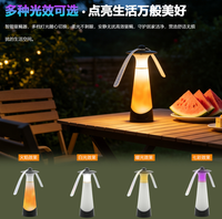 Ventilatore Repellente per Insetti a LED con 4 Colori, Luce Bianca Calda e RGB, Effetto Fiamma e Lampeggio Lento, Controllo Touch, per Casa, Picnic e Tavoli da Catering