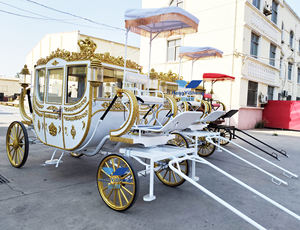 Carruaje de caballos para bodas Transporte especial para bodas Carruajes tirados por caballos dorados reales - Product Image 3