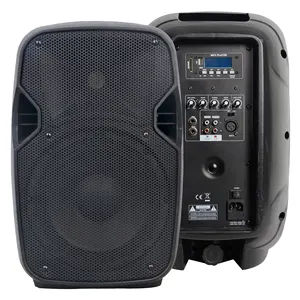 Précision Pro Audio CSL08AOH fête karaoké dj jeu sans fil mini batterie Charge portable haut-parleur actif boîte haut-parleurs de voiture