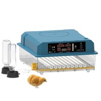 Incubateur domestique compact intelligent numérique automatique pour œufs de pigeon
