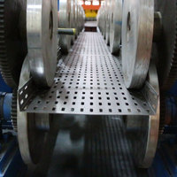 Automatic Change Size Cable Tray Roll Forming Machine with Hydraulic Punching Supplier