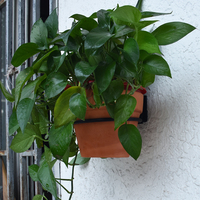 Support mural en métal pour pot de fleurs sur mesure de 4, 6 ou 8 pouces, avec anneau