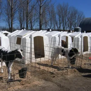 Süt çiftliği İnek sığır buzağı hayvan kafesi/besleyiciler besleyiciler tabakası kafes rekabetçi fiyat PP plastik ücretsiz yedek parçalar sıcak ürün 2019