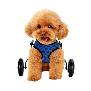 Aides à la mobilité <span class=keywords><strong>pour</strong></span> chiens handicapés aux pattes arrière, utilisation médicale, léger, réglable, <span class=keywords><strong>fauteuil</strong></span> <span class=keywords><strong>roulant</strong></span> <span class=keywords><strong>pour</strong></span> animaux de compagnie - Product Image 2