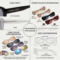 Lunettes de soleil de luxe Lbashades, monture rectangulaire vintage en acétate, verres polarisés UV400, personnalisables pour hommes et femmes