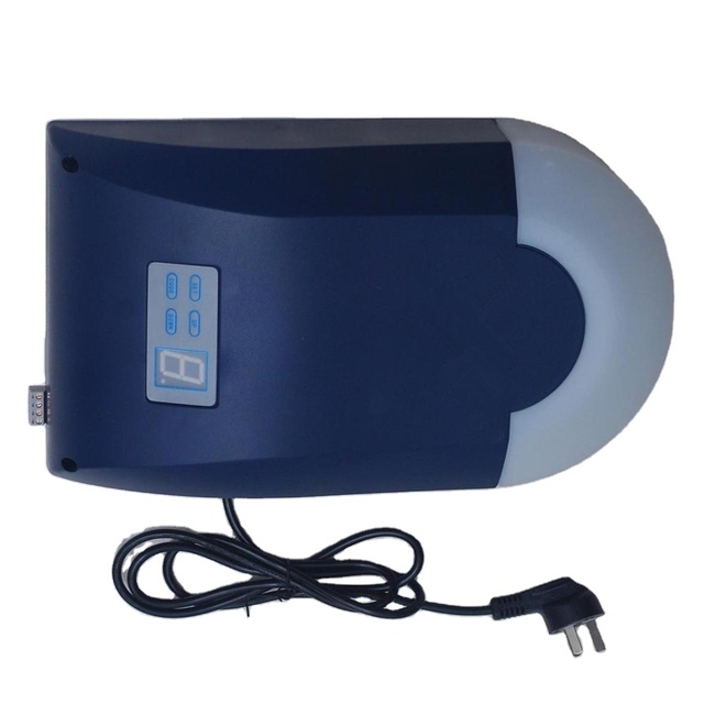 China Factory Hot Sell Modern Design Garage Door Automatic Smart Garage Door Opener