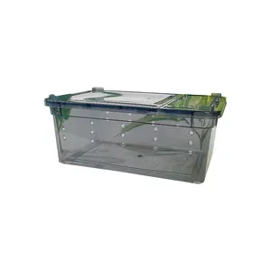 높은 품질 작은 투명 파충류 번식 상자 플라스틱 파충류 인클로저 표범 도마뱀