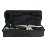 Factory Price JinBao TR-300 Yellow Brass Bb Key Standard Practice Trumpet