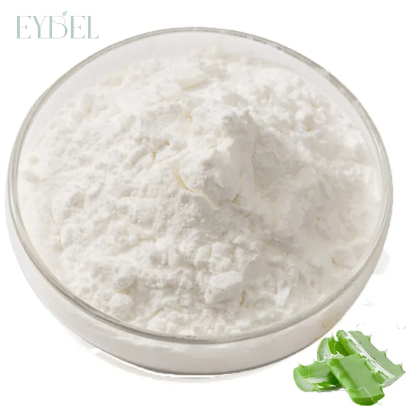 Best Price Pure Organic Aloe Vera Extract Dry Powder Aloe Vera Gel Freeze Dried Powder 100:1 100G per Bag