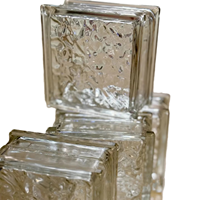 Briques de verre creuses à bord blanc de 50/80 mm d'épaisseur pour cuisine, éclairage LED coloré, éclairage amélioré, usage industriel et médical, solides
