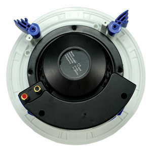 5 "20 Wát <span class=keywords><strong>2.0</strong></span> kênh cho <span class=keywords><strong>Bluetooth</strong></span> Wifi Loa trần với hoạt động woofer Amplifier cho rạp hát tại nhà hệ thống âm thanh - Product Image 4