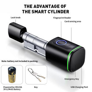Serrure de porte intelligente avec <span class=keywords><strong>code</strong></span> de carte-clé européenne, cylindre intelligent TTLOCK Tuya IP SDK App, stockage de carte mémoire, serrure de porte intelligente réglable - Product Image 2