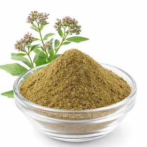 Extrait de racine de Rasna séché par atomisation, en poudre, fabriqué par un producteur avec un traitement botanique avancé pour la vente en gros - Product Image 3