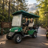 Voiturette de golf électrique Tarion 4 places, quatre roues motrices, pneus tout-terrain, moteur AC 60V 3.5KW, batterie 100Ah, vitesse 35KM/H, autonomie 90km