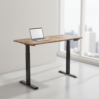 Bureau électrique réglable en hauteur OEM, bureau ergonomique réglable pour travailler assis ou debout, idéal pour le bureau à domicile