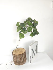 Eucalyputs cinerea chi nhánh Nhà máy nhân tạo thiết kế sáng tạo sợi thủy tinh sợi carbon hoa nhà máy Chậu treo tường Vườn Nhà - Product Image 2