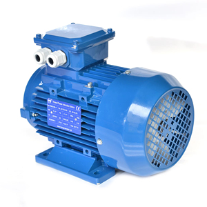 มอเตอร์เหนี่ยวนำสามเฟส Hongma HM2-200L-4 ขนาด 30 กิโลวัตต์ 40 แรงม้า 1500 รอบต่อนาที แรงดันไฟฟ้า 220 โวลต์ AC 50 เฮิรตซ์ ระดับการป้องกัน IP54/IP55 ประสิทธิภาพ IE2 ระบบระบายความร้อน IC411 - Product Image 2