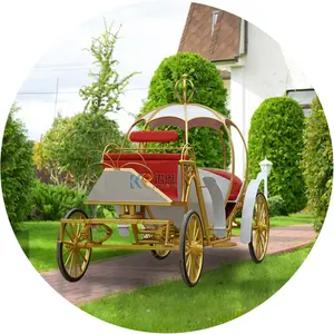 Белая электрическая коляска с изображением Золушки тыквы для продажи Роскошная Карета для принцессы
