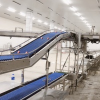 Automatische vleesverwerkingslijn, transportband voor de verwerking van rundvlees, varkensvlees en kip in een vleesverwerkingsbedrijf