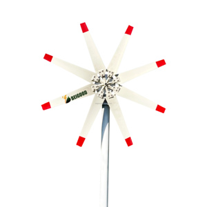กังหันลมแนวนอน 1000w 2000w 3000w 1kw 48v 1 กิโลวัตต์ 2 กิโลวัตต์ 3 กิโลวัตต์ ขาย - Product Image 1