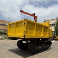 RDGM ASV Mini Diesel-Raupentraktor mit Hoher Ladekapazität, 300L Schaufel, 1300kg Gewicht, Changchai-Motor