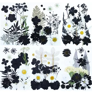 15-16 piezas/paquete blanco y negro Asst. Flor prensada Paquetes de mezcla seca DIY Artesanía Marco de resina Vela
