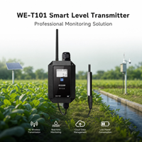 Vente en gros WES OEM LoRa 4G Moniteur de niveau de liquide sans fil IP67 Étanche Sonde de profondeur d'eau submersible pour l'irrigation intelligente des fermes